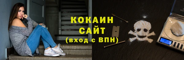 мет Алексин