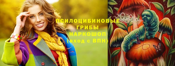 прущие грибы Алексеевка