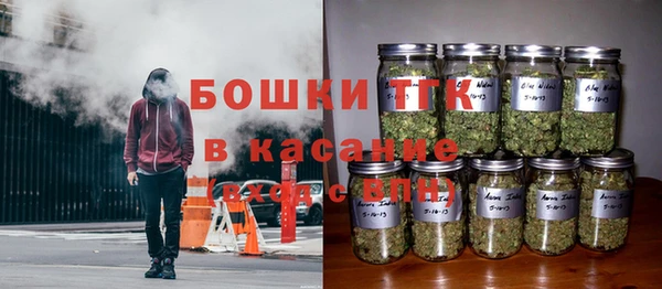 прущие грибы Алексеевка